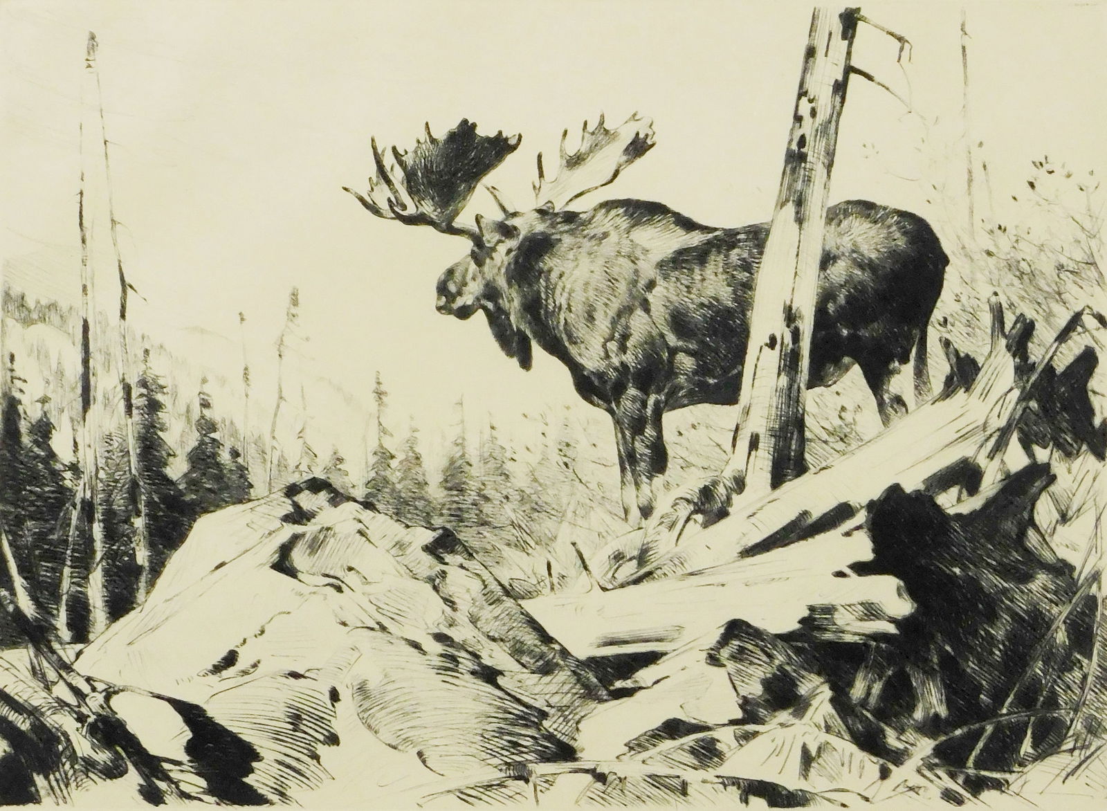 Carl Rungius (American, 1869-1959), “Alaskan Wilderness??, c. 1928, drypoint etching, large male (1 of 6)