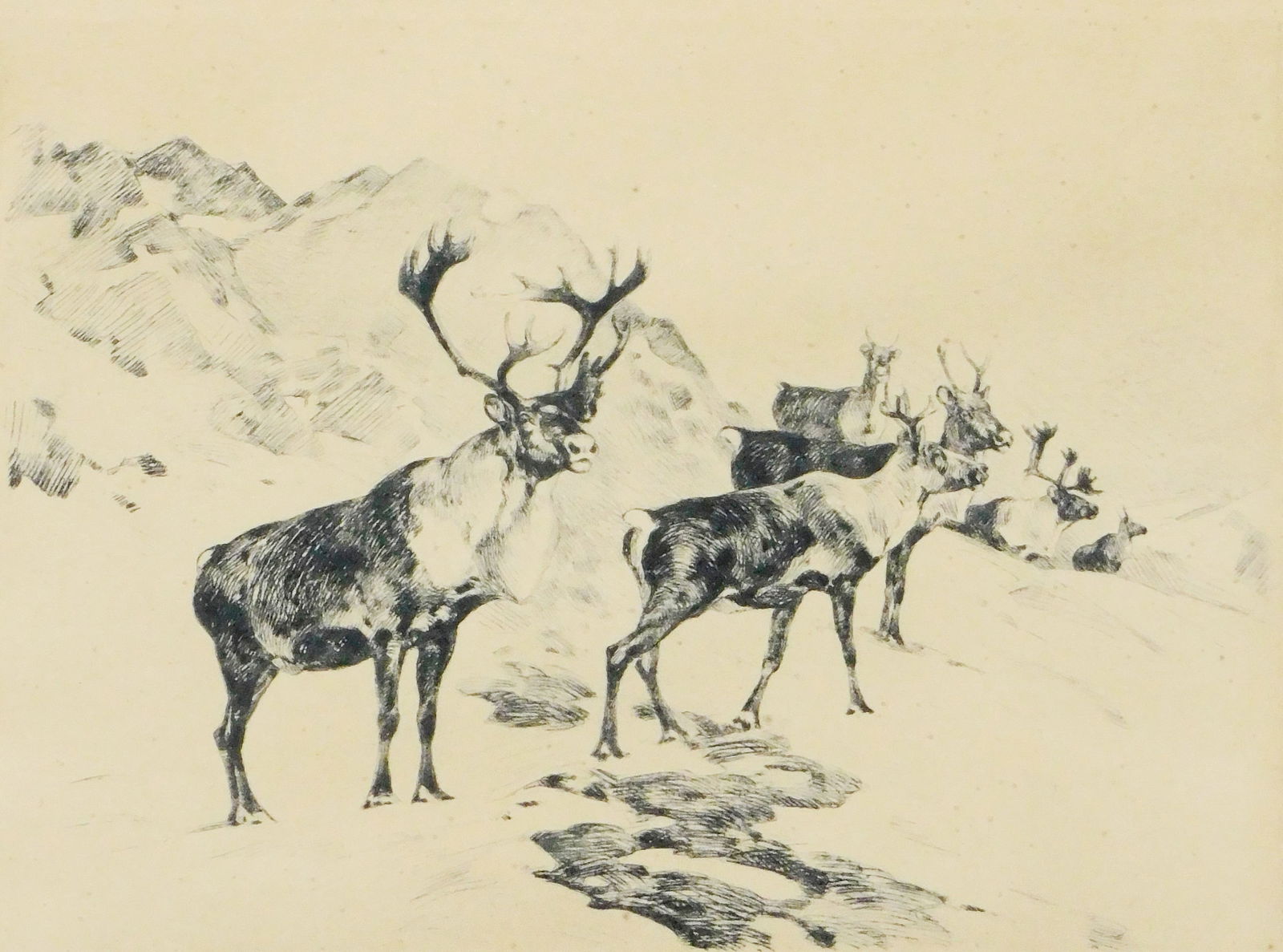 Carl Rungius (American, 1869-1959), “Osborne’s Caribou??, c. 1925, drypoint etching, several (1 of 5)