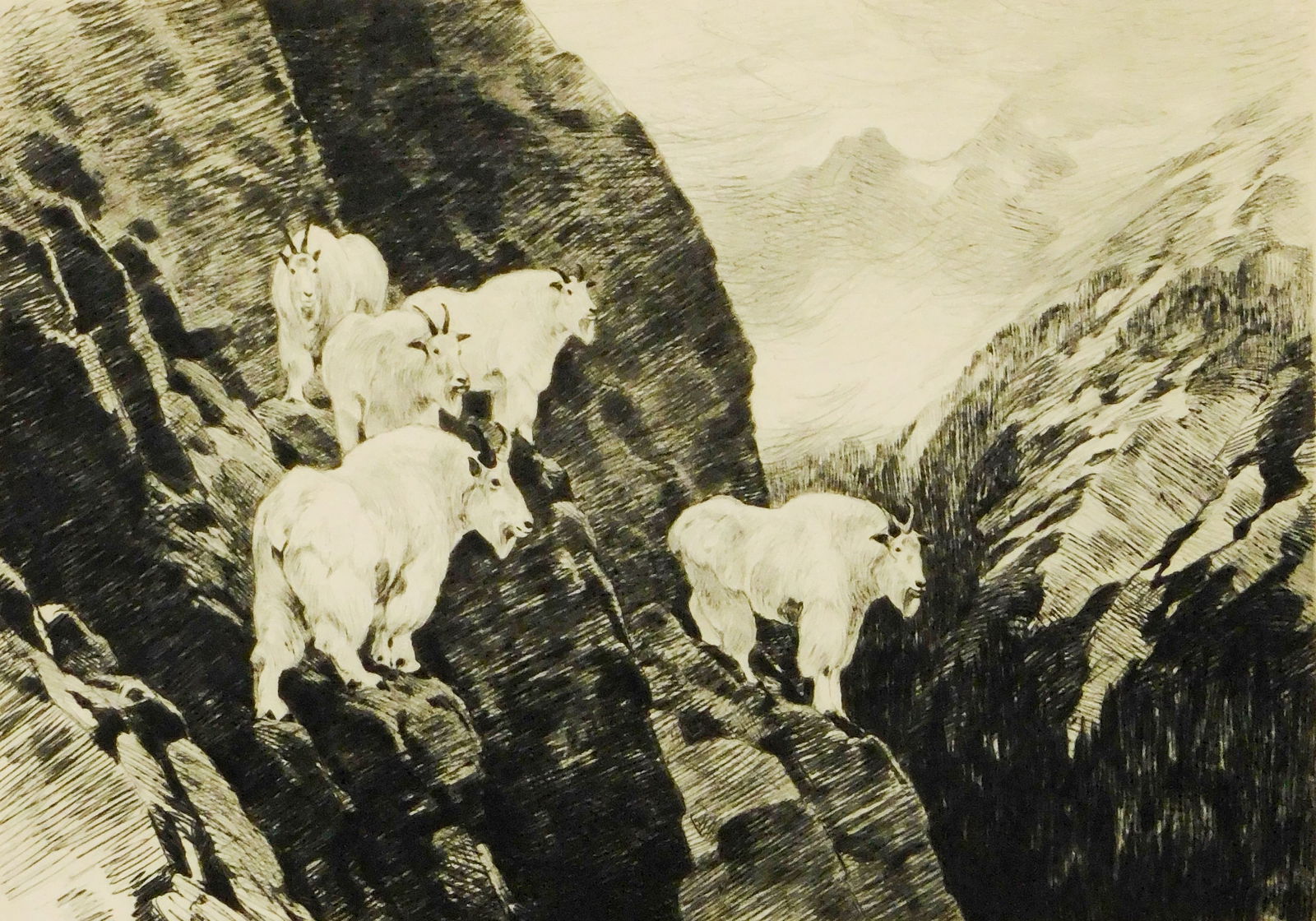 Carl Rungius (American, 1869-1959), “Goats??, c. 1926, drypoint etching, five mountain goats on: Carl Rungius (American, 1869-1959), “Goats”, c. 1926, drypoint etching, five mountain goats on mountainside ledges overlooking valley, pencil signed lower right, with Arthur H. Harlow & Co. (N