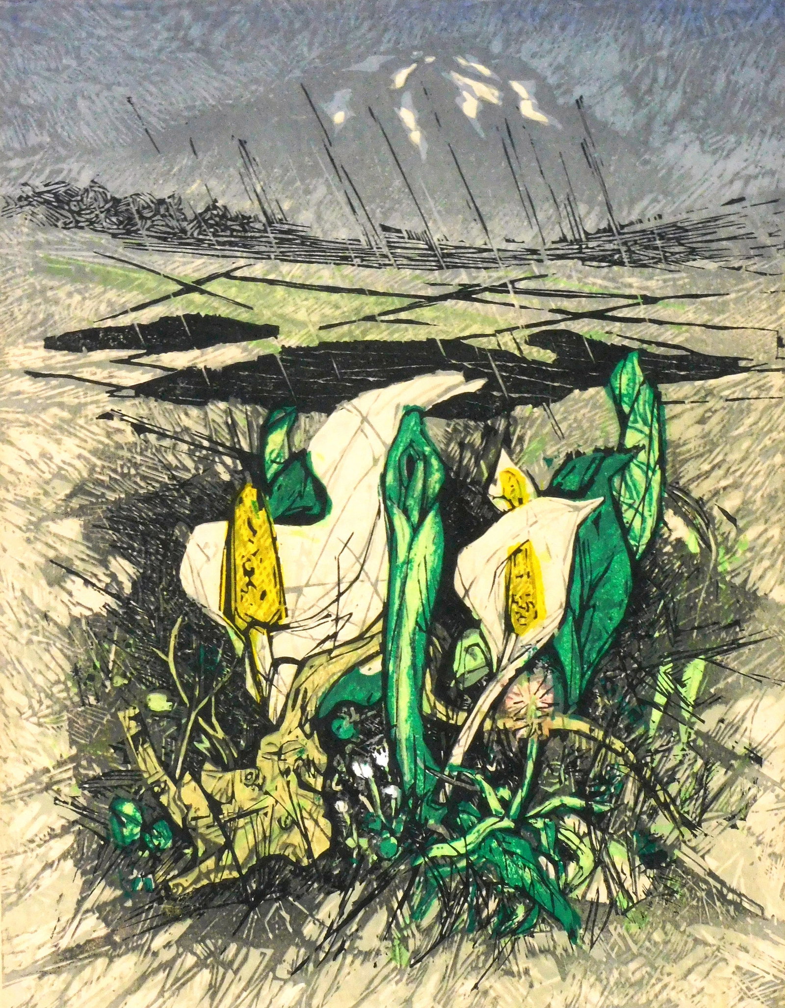 ASIAN: Fumio Kitaoka (Japanese, 1918 - 2007), "Mountain Flowers in the Rain", woodblock print, 1969,: ASIAN: Fumio Kitaoka (Japanese, 1918 - 2007), "Mountain Flowers in the Rain", woodblock print, 1969, edition of 50, numbered 35/50 in pencil at lower left followed by title, signature and date in lowe