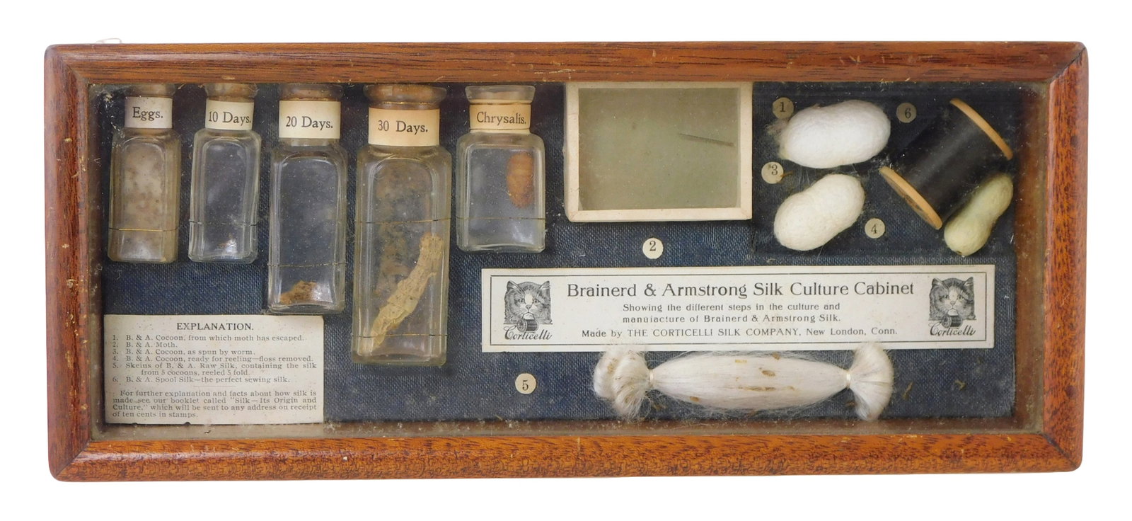 Brainerd & Armstrong "silk culture cabinet", New London CT, c. 1900, made for Corticelli Silk (1 of 3)