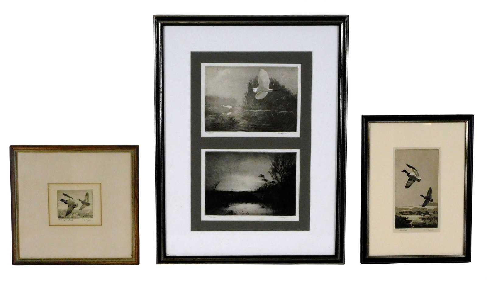 Charles B. Ferguson (CT, 1918-2018), four bird themed etchings on paper, 2nd half 20th C., all mated (1 of 10)