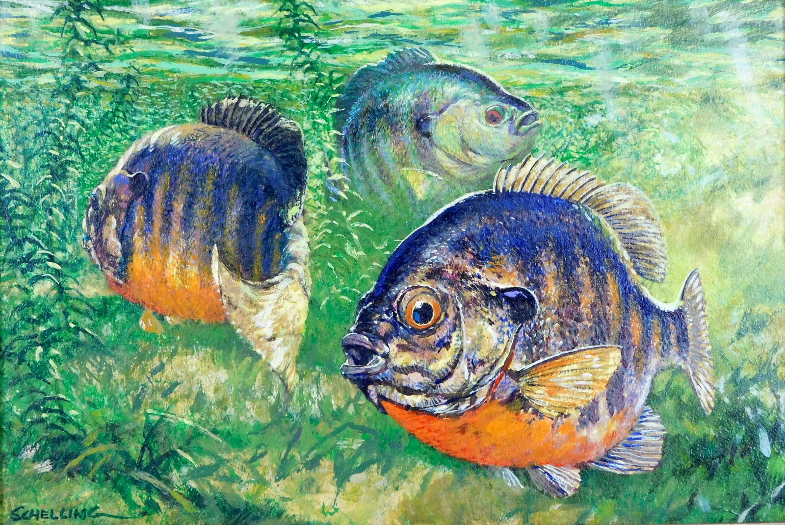 George L. Schelling (American, b. 1938), "Bluegill Sunfish", oil on board, depicts three brightly (1 of 4)
