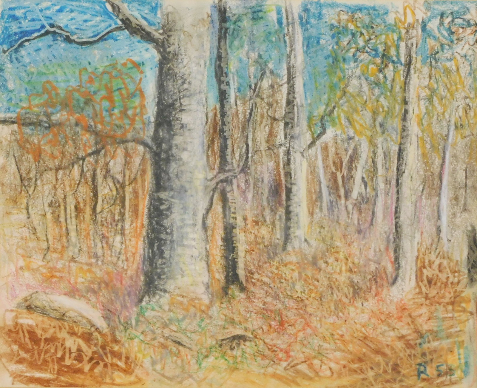 James N. Rosenberg (American, 1874-1970), “In the Woods (Beech Trees, Saxon Woods)”, (1 of 6)