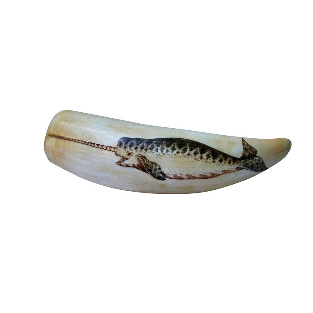 Scrimshawed Whale Tooth By Robert Spring: Polychrome engraving of a Narwhal, signed and dated, R. Spring, 1979, 1.75 x 6 inches. Robert Spring (1938-2016) is considered one of the finest 20th century scrimshanders. Note: May only be purchased