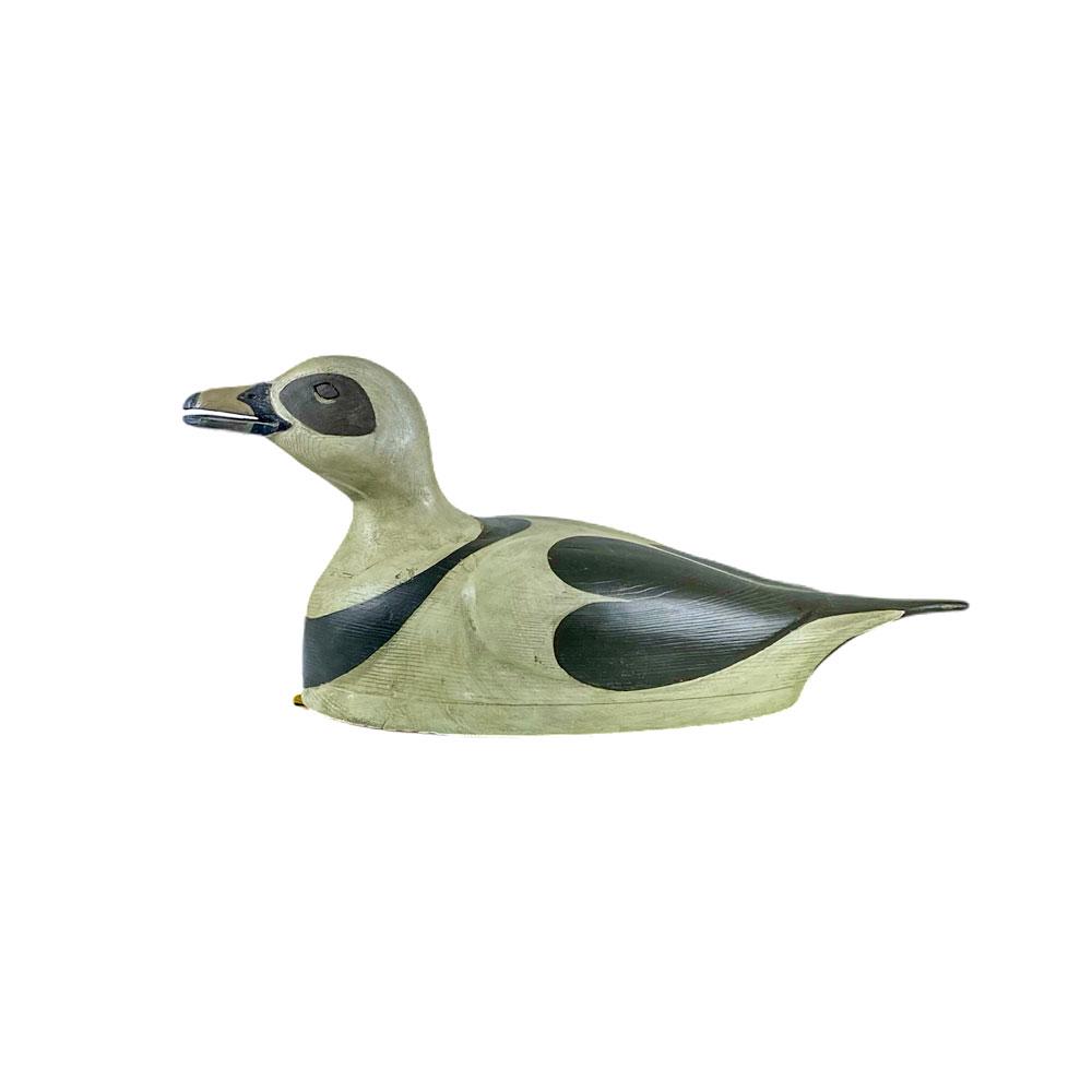 Old Squaw Decoy by Frank Finney: Old Squaw Decoy. Hollow carved, with incised eyes and open bill. Initialed on underside, F.F. Carved by Frank Finney, c.1970. 8 in. x 19 in.