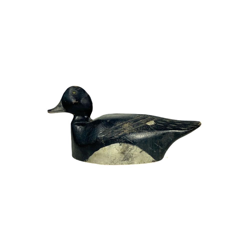Broadbill Drake Decoy (1 of 3)