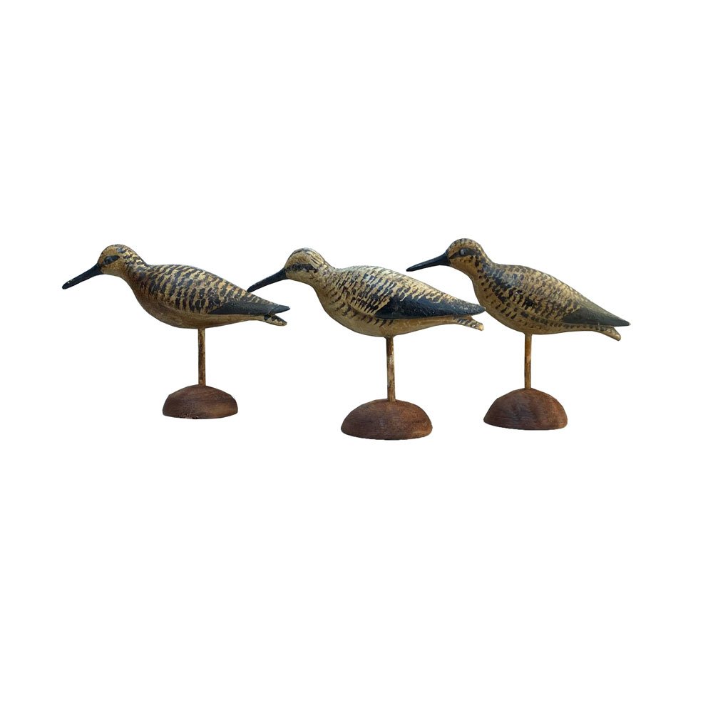 Three Miniature Plovers by Frank Finney (1 of 4)