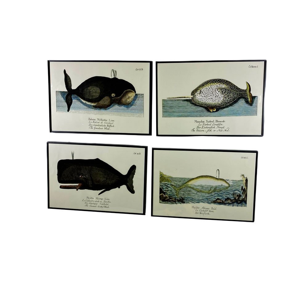 Set of Four Whaling Prints (1 of 3)