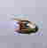 item-55709157=2