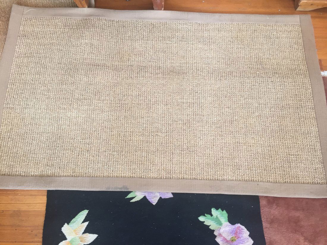 3x5 Sisal Area Rug (1 of 2)