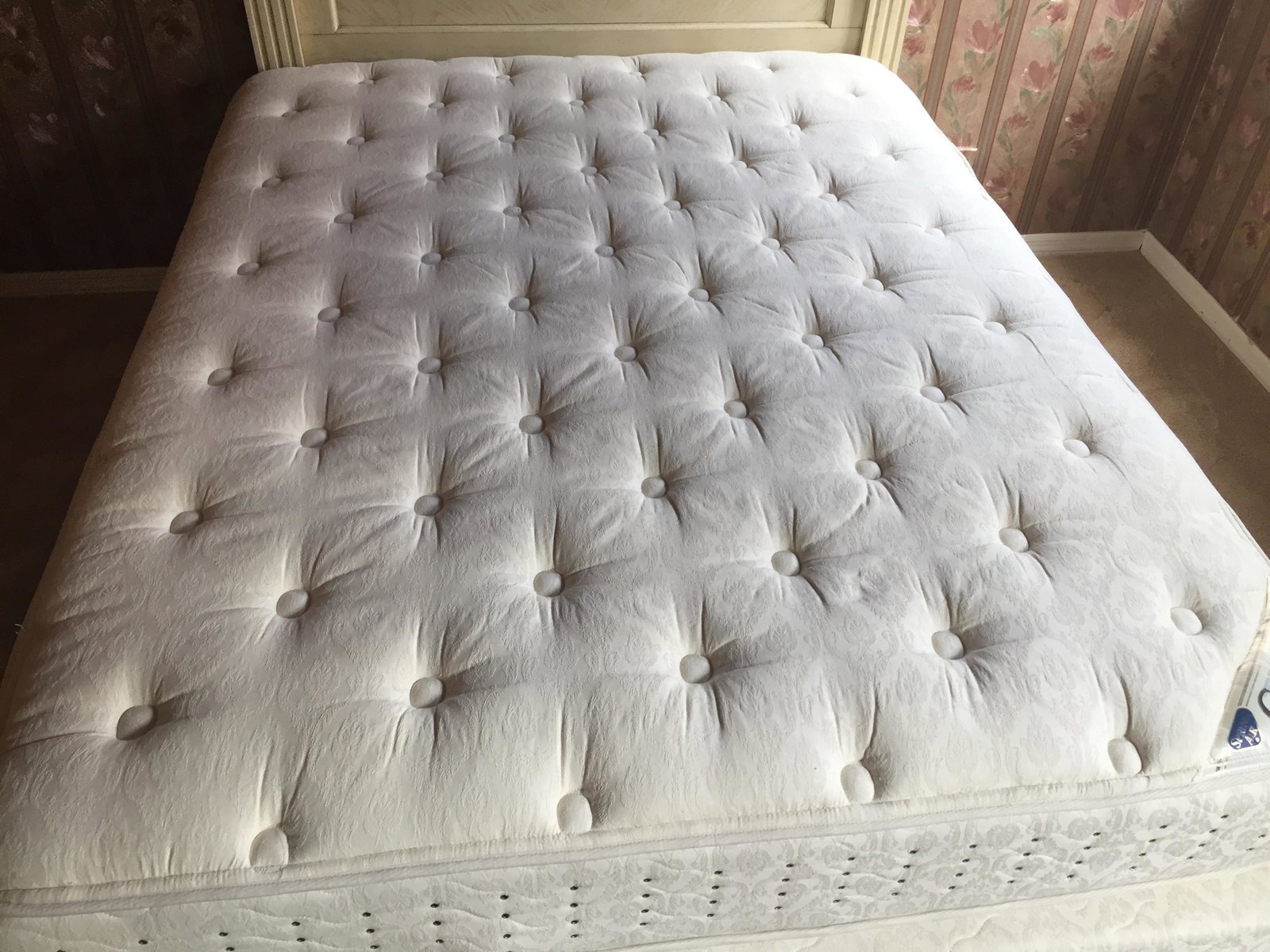 Queen Mattress: Chiro 700 Luxury Firm Queen Mattress (came from elder woman's guest bedroom, looks brand new)