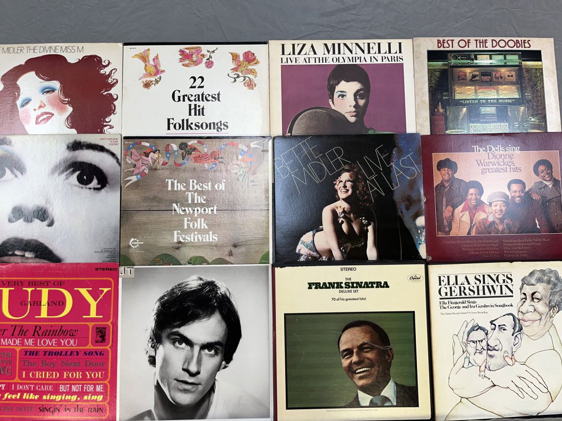 Vinyl Records (1 of 2)