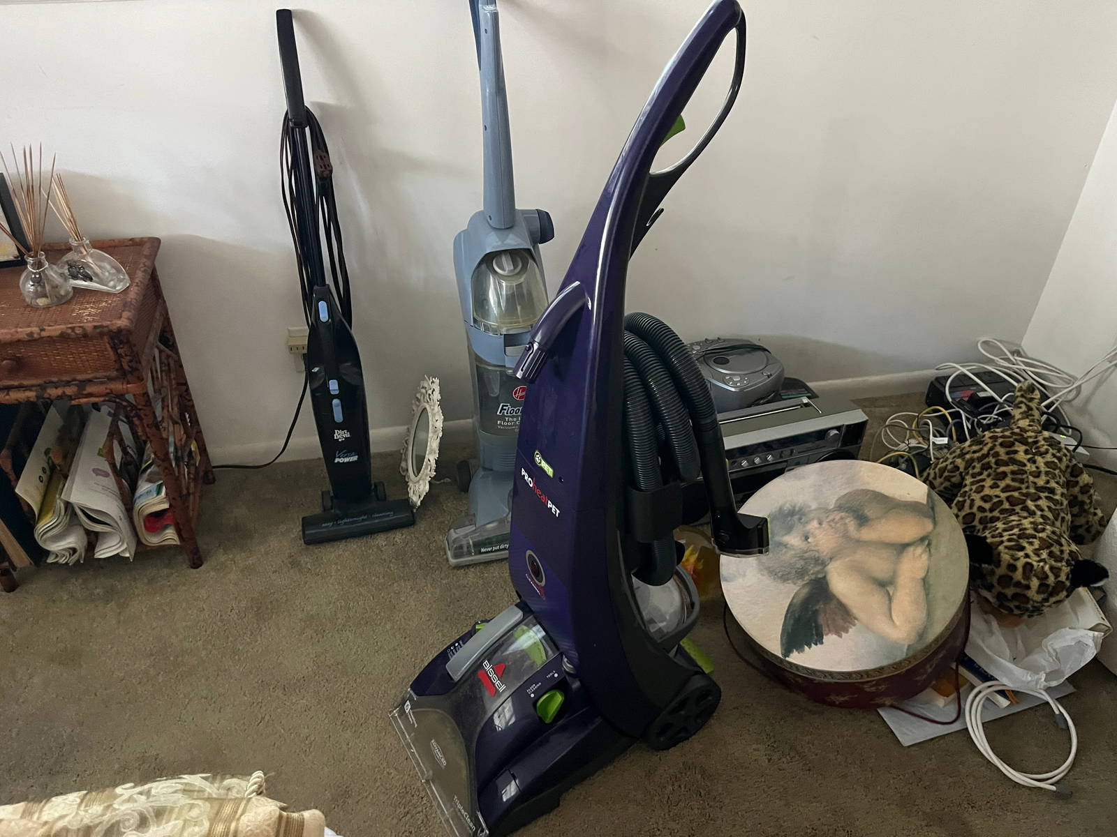 Bissel Carpet Cleaner Auction