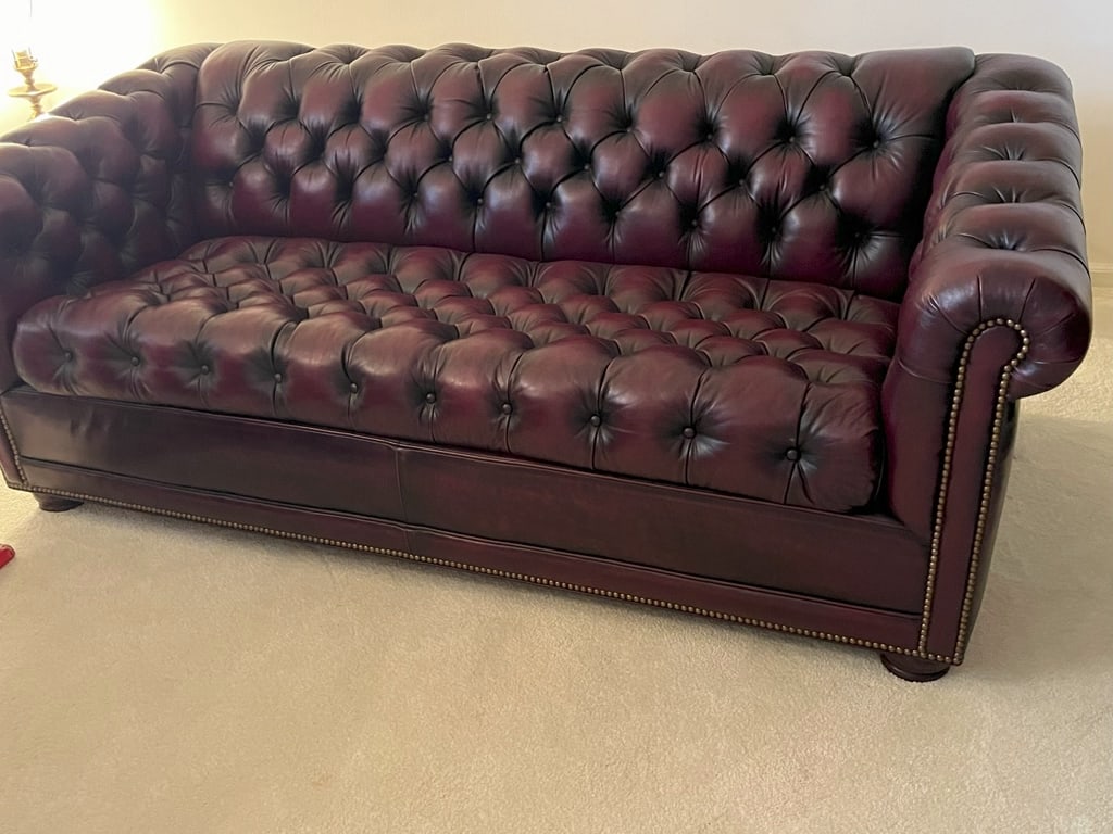 Leather Sleeper Sofa (1 of 1)
