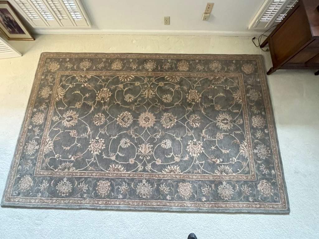 Area Rug: Area Rug. 8'11"x5'7"