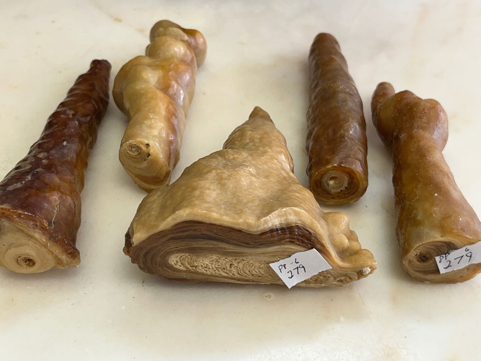 ??Dried Fish,Chicken,Fossil?: Not sure of this one. Looks like Dried Fish, Chicken or Some kind of Fossil. (5pcs.) Longest is 6"