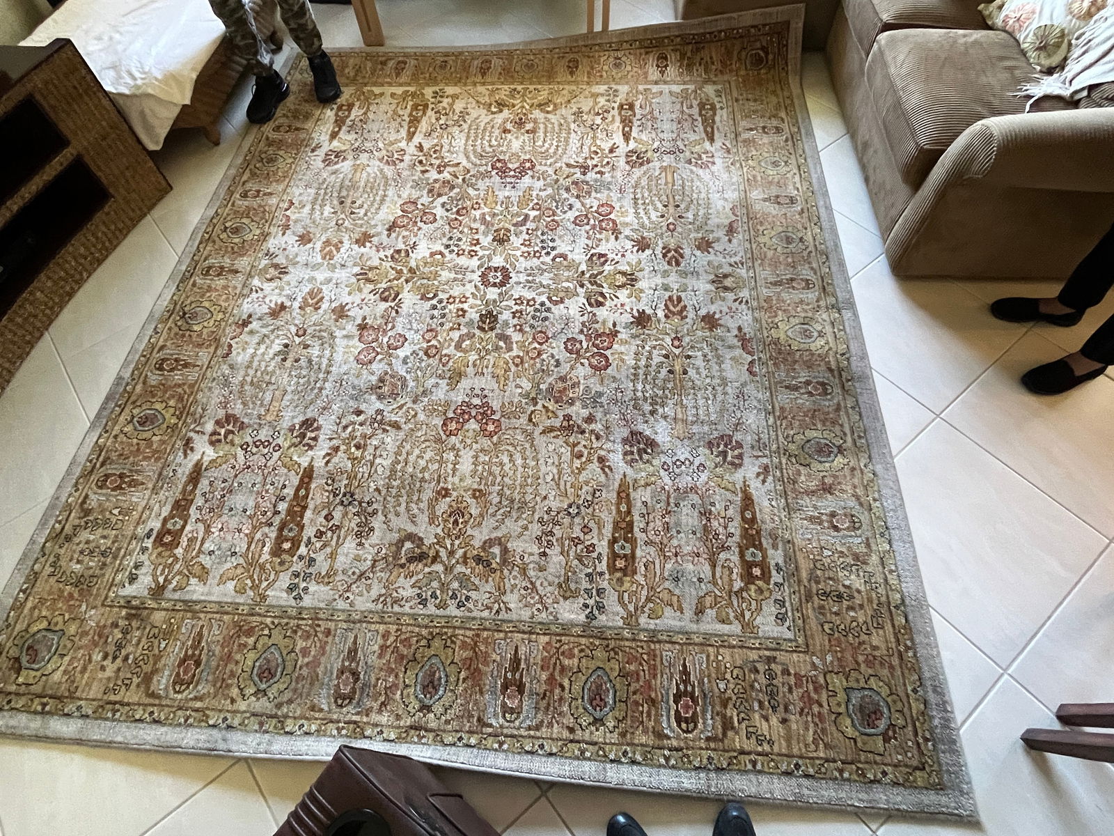 Beige/Brown Area Rug (1 of 2)
