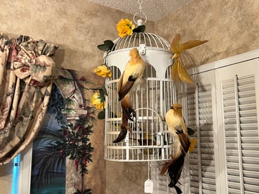 White Bird Cage