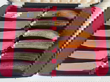 VTG Antler Steak Knive Set