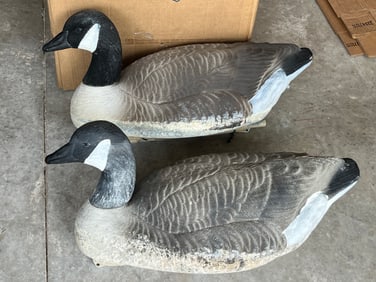 Mallard Duck Decoys