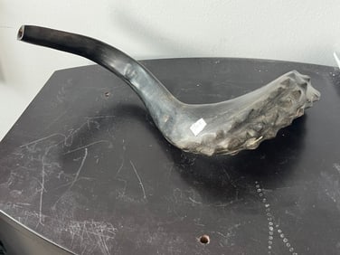 Jewish 14"L Shofar