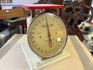 VTG 25lb. Chatillon Household Scale