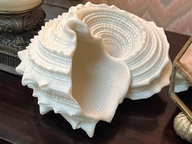 Decorative Seashell