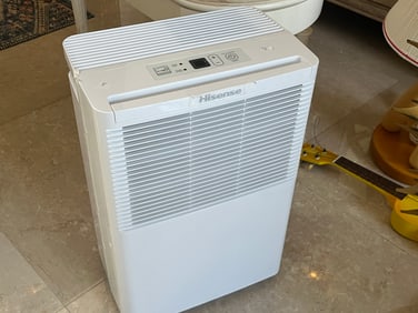 Hisense Dehumidifier