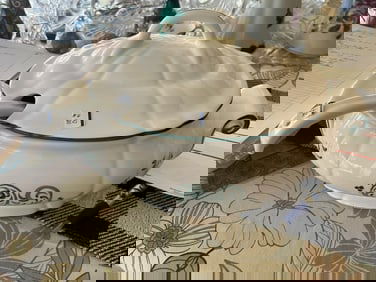Soup Tureen