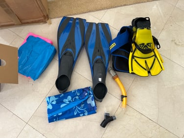 Snorkel Kit