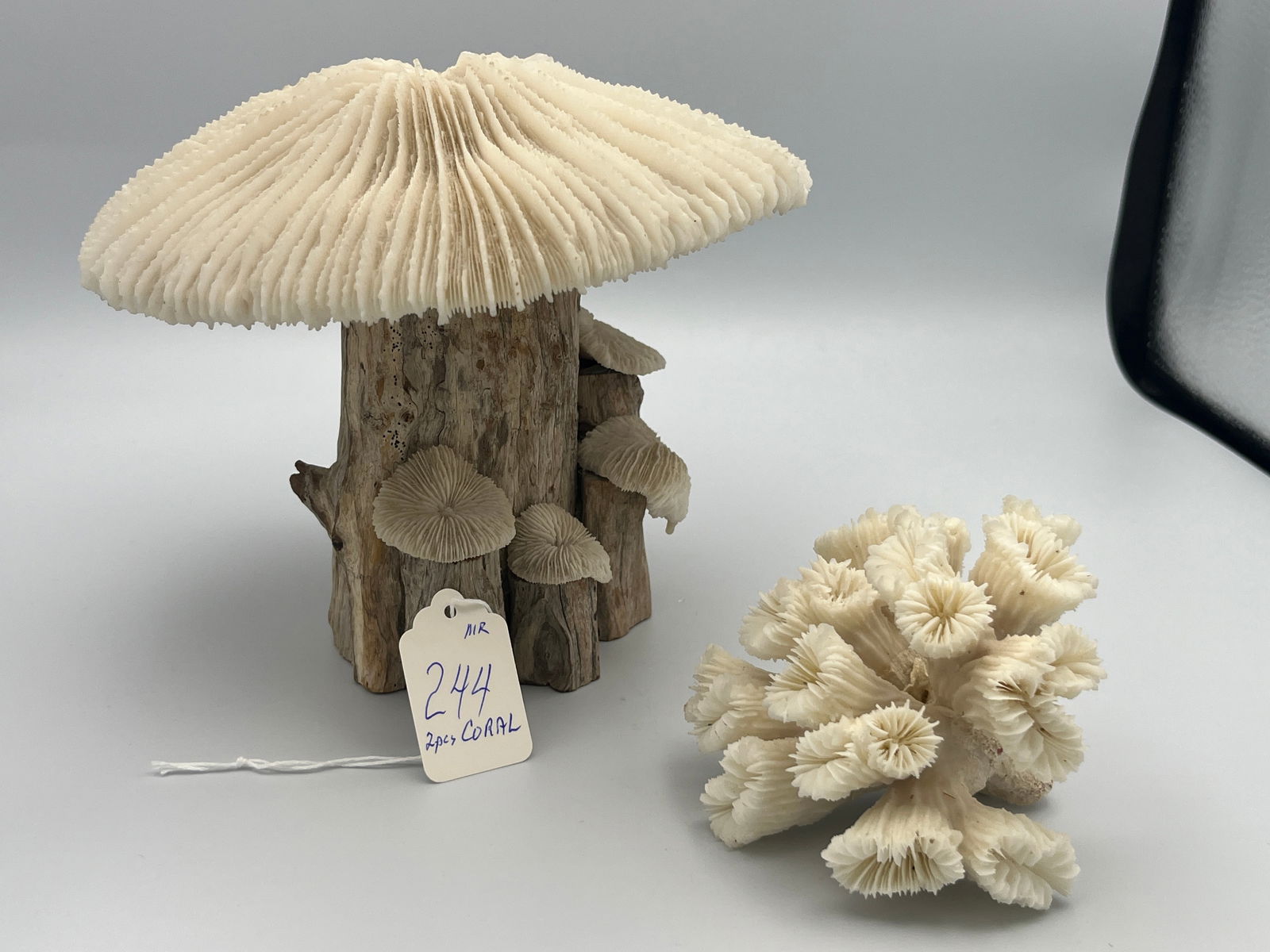 2pcs. Ocean Coral & Coral/ Wood (1 of 3)