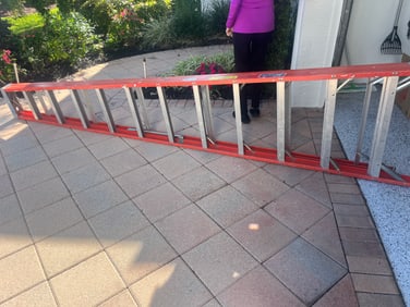 12' Louisville Step Ladder