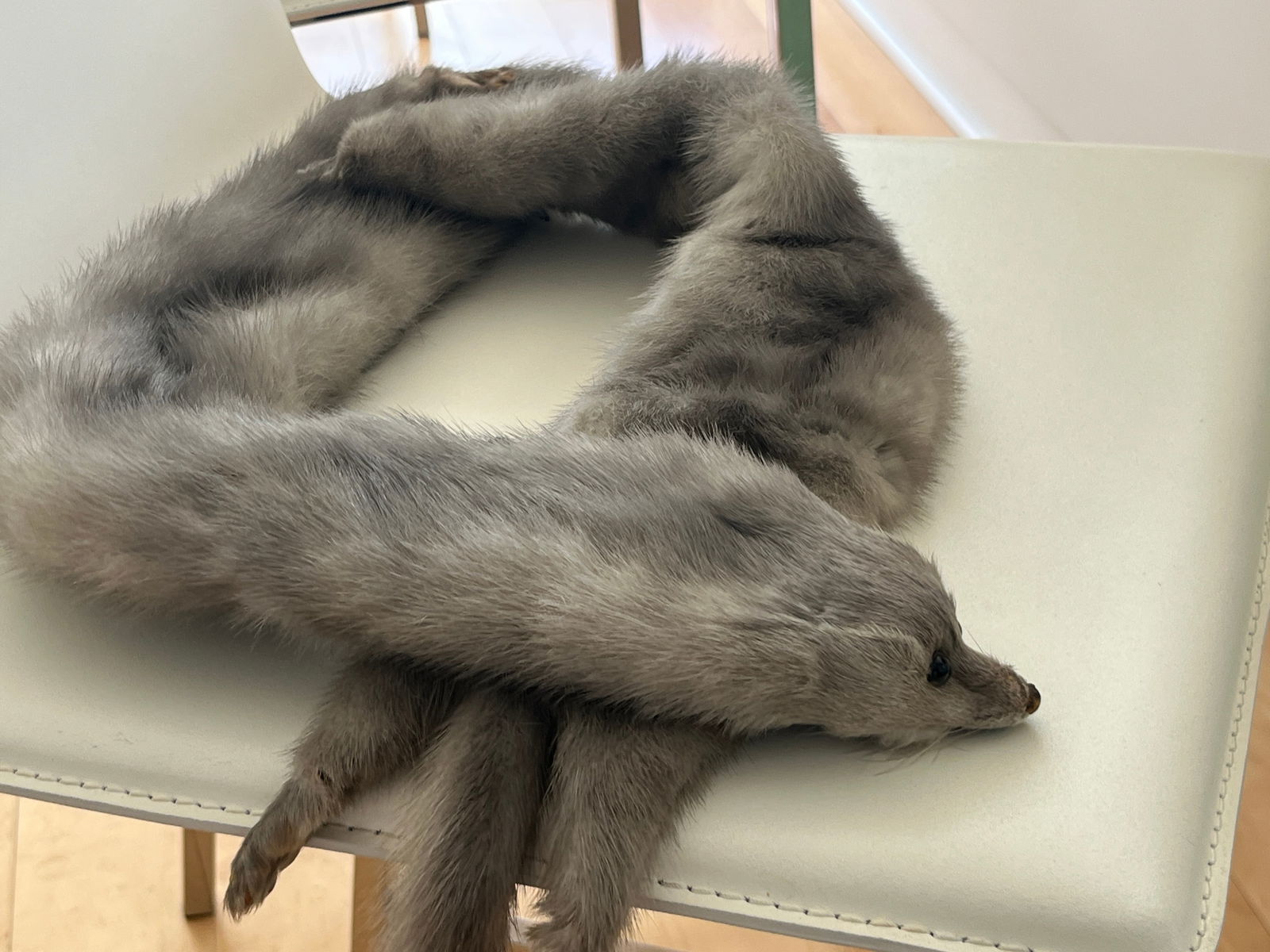 VTG Mink Collar: VTG Mink Collar Scarf 1950s, Full Body Mink with Head and Legs