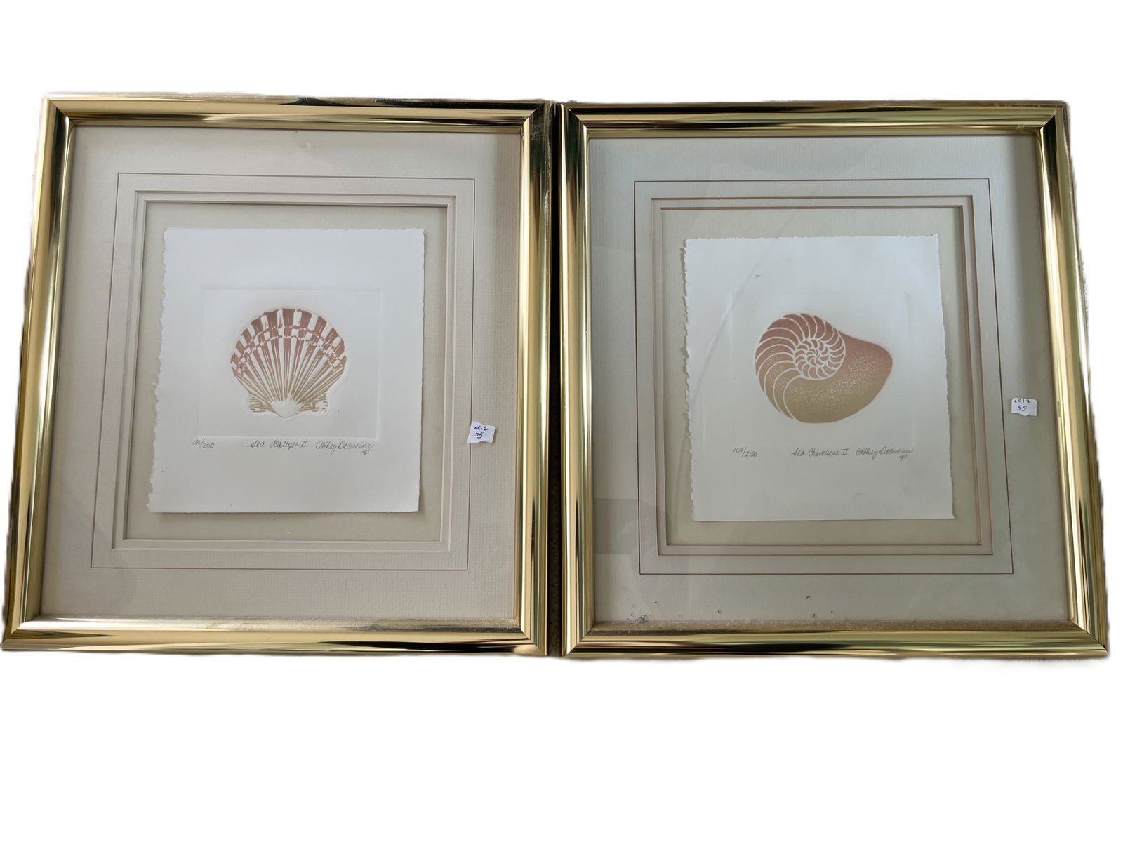 (2) Cathey December Letterpress Prints: (2) Cathey December Letterpress Prints 'Sea Scallops' 100/250 & 'Sea Chamber 11' 108/250, Frames 15.5x14.5