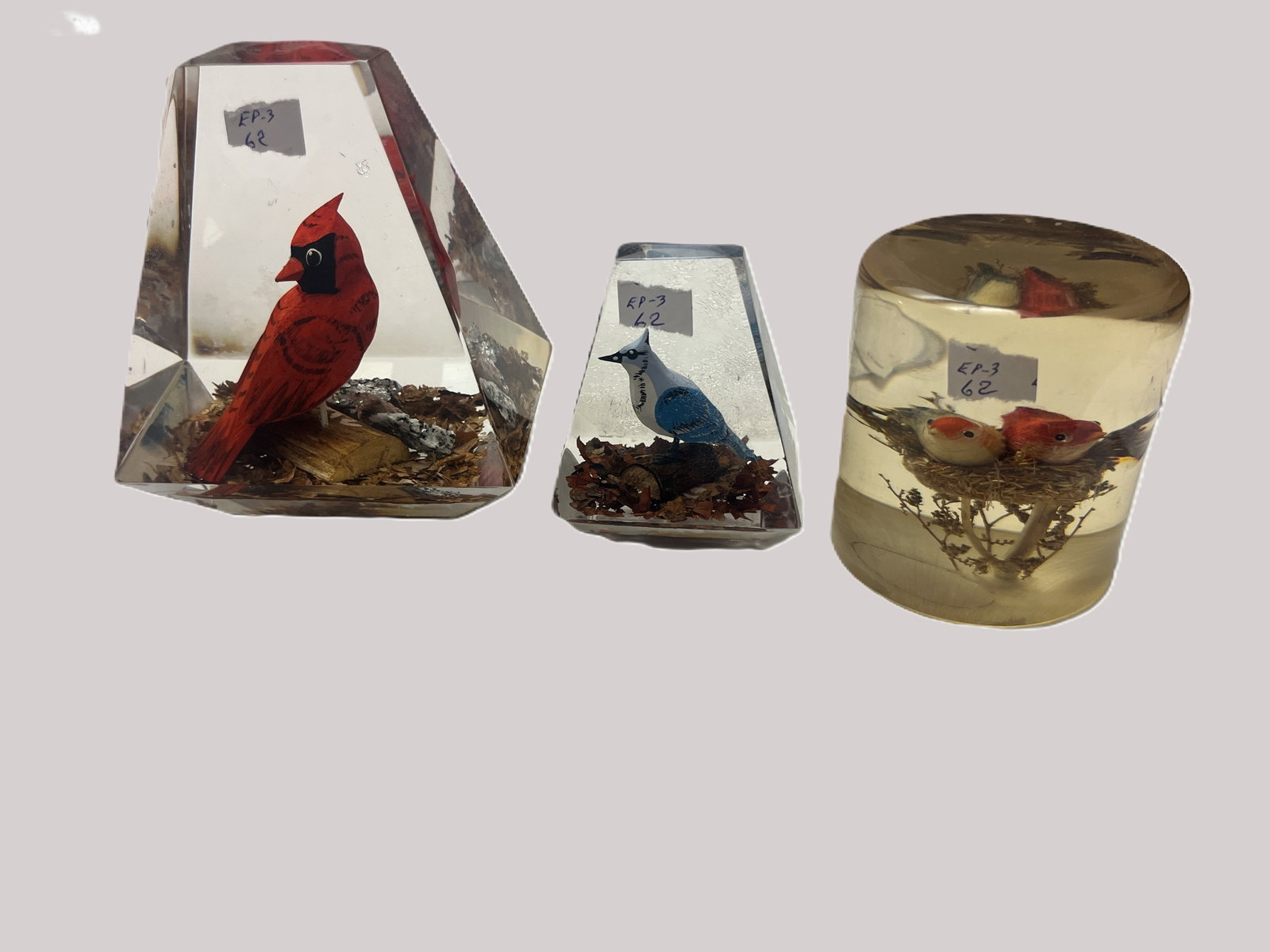 3 Vintage Bird Specimen Lucite Paperweights ? Cardinal, Blue Jay & Nesting Birds, Tallest 5"H (1 of 4)