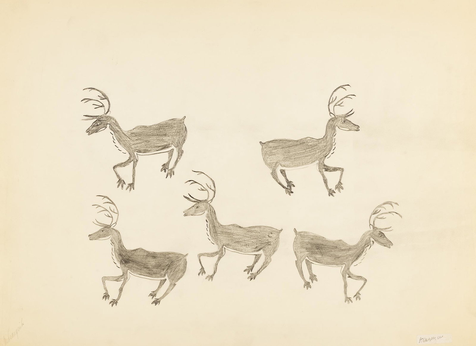 AQJANGAJUK SHAA, Inuit, Five Standing Caribou, c.: AQJANGAJUK SHAA, R.C.A. (1937-2019) KINNGAIT (CAPE DORSET) Five Standing Caribou,c. 1960-61 graphite on paper, 18 x 24 in (45.7 x 61 cm) unsigned. Provenance Ex. Collection of Mr. Terry Ryan;<