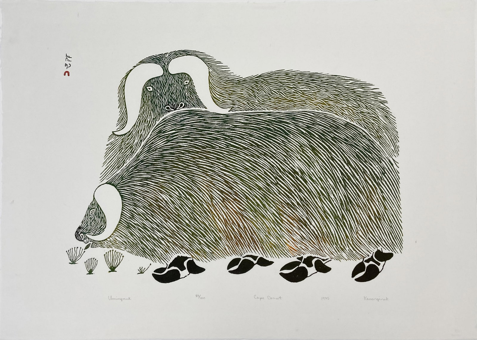 KANANGINAK POOTOOGOOK, INUIT, Umingmuk, 1973: KANANGINAK POOTOOGOOK, R.C.A. (1935-2010) KINNGAIT (CAPE DORSET) Umingmuk, 1973 #1 Printmaker: TIMOTHY OTTOCHIE (1904-1982) KINNGAIT (CAPE DORSET) stonecut, 24.25 x 34 in (61.6 x 86.4 cm) 87/100 Pro