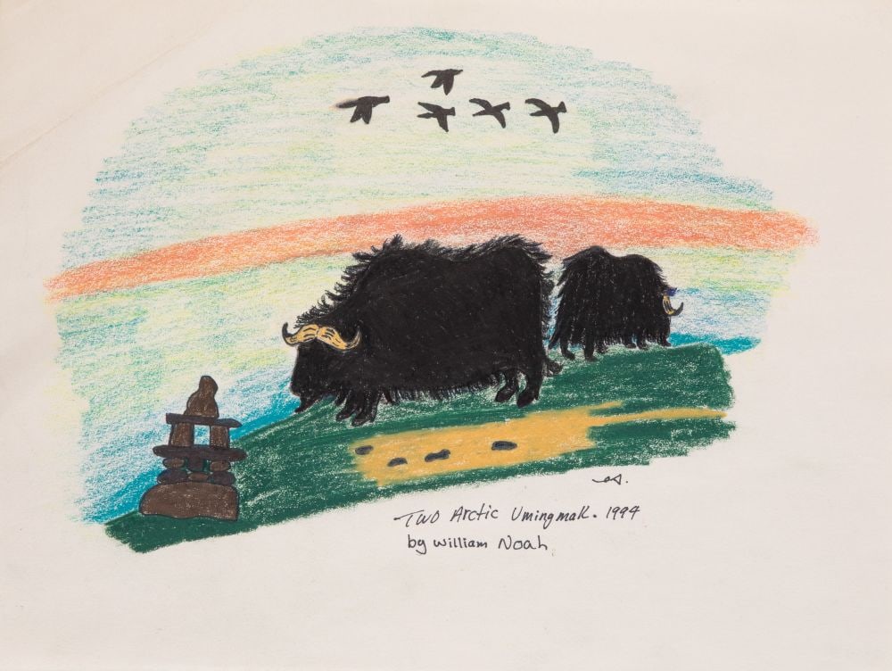 WILLIAM NOAH, INUIT, Two Arctic Umingmak, 1994: WILLIAM NOAH (1943-2020) QAMANI'TUAQ (BAKER LAKE) Two Arctic Umingmak, 1994 dry medium (pastel?) over black ink on paper, 10.25 x 14 in (26 x 35.6 cm) signed, titled, dated, and signed again, "ᓄ