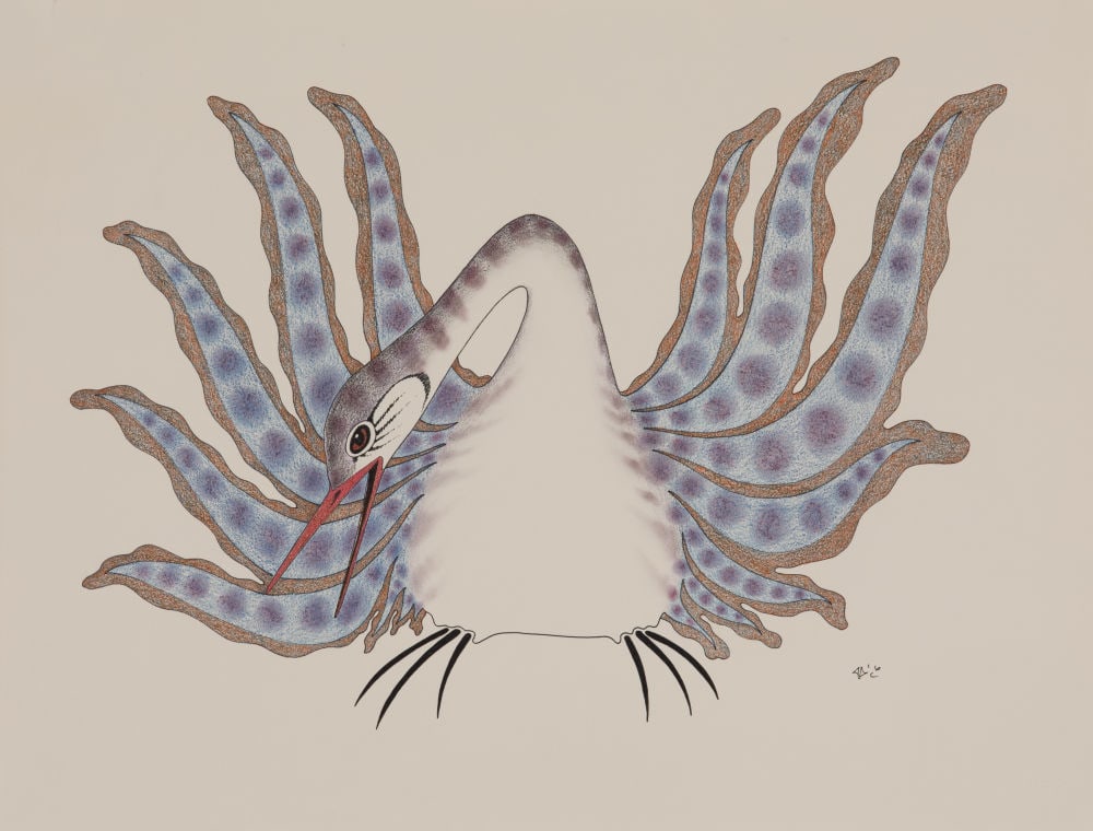 AOUDLA PUDLAT, INUIT, Bird Protecting Nest, 1987/88: AOUDLA PUDLAT (1951-2006) KINNGAIT (CAPE DORSET) Bird Protecting Nest, 1987/88 coloured pencil over black ink on paper, 20 x 26 in (50.8 x 66 cm) signed, ""ᐊᐅ[ᑦ]ᓚᒃ"" Prov