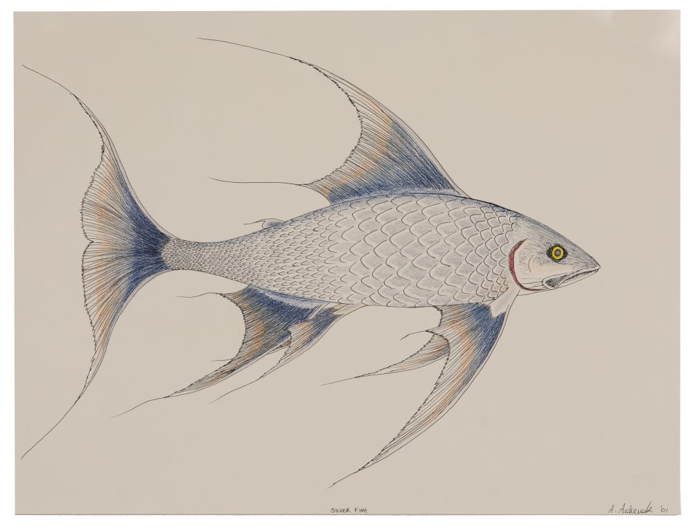 ARNAQU ASHEVAK, INUIT, Silver Fish, 2001/2002: ARNAQU ASHEVAK (1956-2009) KINNGAIT (CAPE DORSET) Silver Fish, 2001/2002 ink and coloured pencil on paper, 20 x 26 in (50.8 x 66 cm) titled, signed, and dated, "Silver Fish / A. Ashevak '01". Provenan