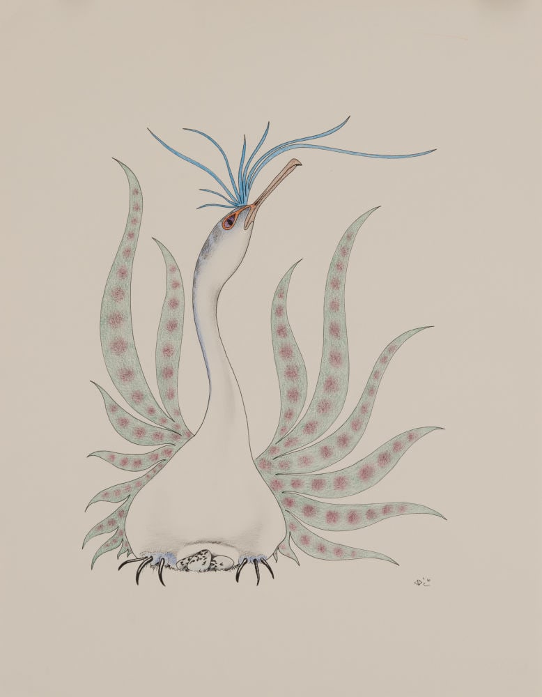 AOUDLA PUDLAT, INUIT, Bird on Nest, 1987/88: AOUDLA PUDLAT (1951-2006) KINNGAIT (CAPE DORSET) Bird on Nest, 1987/88 coloured pencil and black ink on paper, 26 x 20 in (66 x 50.8 cm) signed, "ᐊᐅᓪᓚᒃ". Provenance Priva