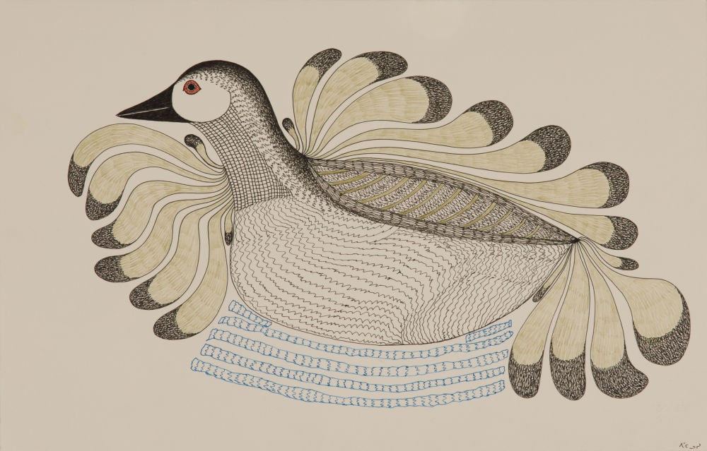 PITALOOSIE SAILA, INUIT, Resplendent Bird in Water, 1984/85: PITALOOSIE SAILA, R.C.A. (1942-2021) KINNGAIT (CAPE DORSET) Resplendent Bird in Water, 1984/85 coloured pencil and ink on paper, 13 x 20 1/4 in (33 x 51.4 cm) signed, "ᐱᑦᑕᓗ5