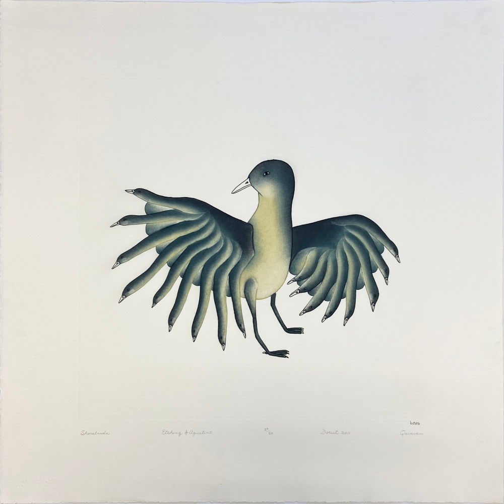 QAVAVAU MANUMIE, INUIT, Shorebird, 2011 #29: QAVAVAU MANUMIE (1958-) KINNGAIT (CAPE DORSET) Shorebird, 2011 #29 Printmaker: STUDIO PM, Montreal etching and aquatint, sheet: 69.75 x 71 in (177 x 180.3 cm) / plate: 19 x 19.5 in (48.3 x 49.5 cm) 29