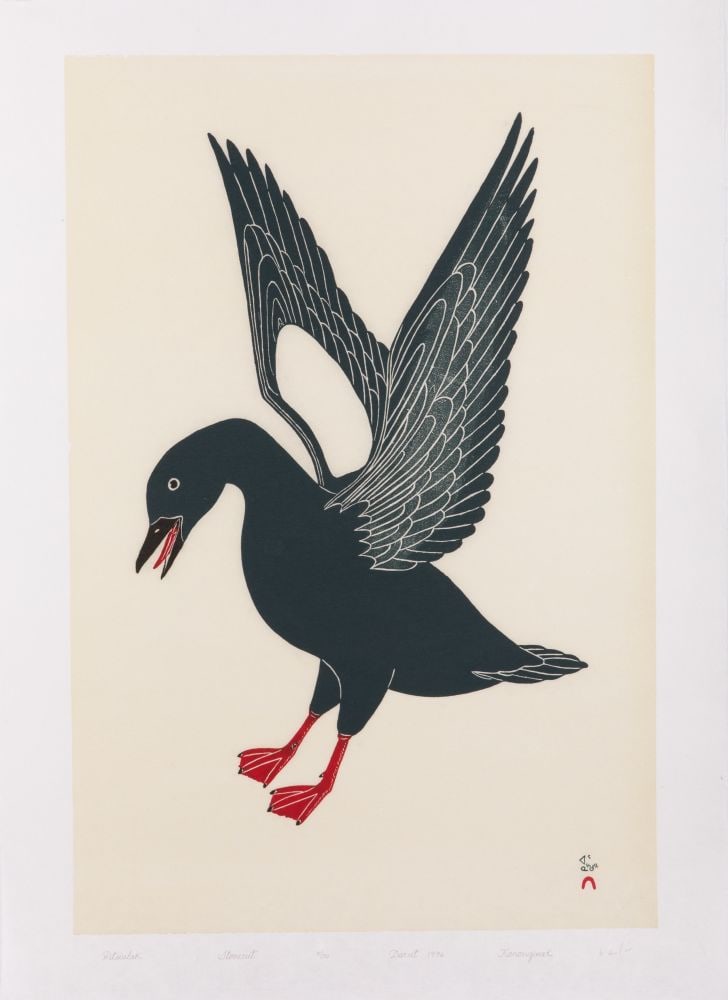 KANANGINAK POOTOOGOOK INUIT, Pitsiulak (Sea Pigeon), 1995 (1996 #8): KANANGINAK POOTOOGOOK, R.C.A. (1935-2010) KINNGAIT (CAPE DORSET) Pitsiulak (Sea Pigeon), 1995 (1996 #8) Printmaker: ARNAQU ASHEVAK (1956-2009) KINNGAIT (CAPE DORSET stonecut, 28 x 20 in (71.1 x 50.8 c