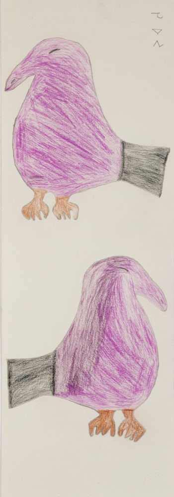 SHEOJUK ETIDLOOIE, INUIT, Untitled (Two Opposing Purple Gulls), 1998-9: SHEOJUK ETIDLOOIE (1932-1999) KINNGAIT (CAPE DORSET) Untitled (Two Opposing Purple Gulls), 1998-9 coloured pencil over graphite on paper, 26 x 9 in (66 x 22.9 cm) signed, "ᓯᐅᔪ". Prov