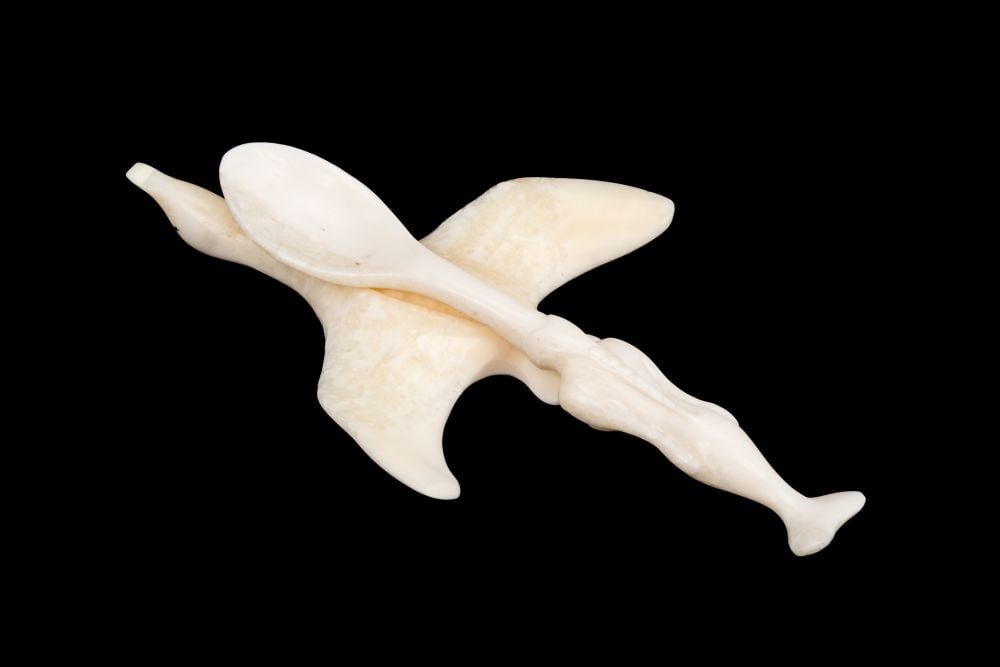 SOLOMON IQQUIYUITUQ, INUIT, Sugar Spoon with Bird in Flight Rest, c. 1972: SOLOMON IQQUIYUITUQ (1946-) KUGAARUK (PELLY BAY) Sugar Spoon with Bird in Flight Rest, c. 1972 each tusk, the spoon: 3.5 x 0.5 x 0.25 in (8.9 x 1.3 x 0.6 cm) / the rest: 2.5 x 2 x 0.25 in (6.3 x 5.1 x