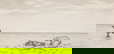 item-210440985=4