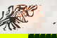 item-210441039=1