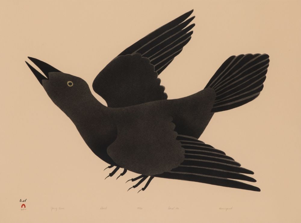 KANANGINAK POOTOOGOOK, INUIT, Young Raven, 1991 #5 (1 of 2)